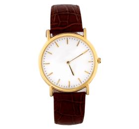 Elegant Gold Brown Leather