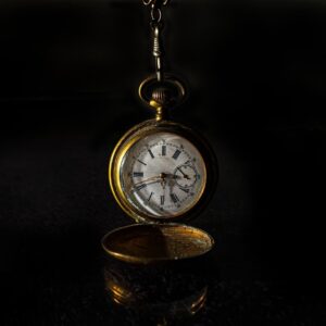 Watch Dial Cleaning Kit